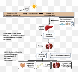 Vitamin D Testing - Vertical Emoji,D&d Emoji