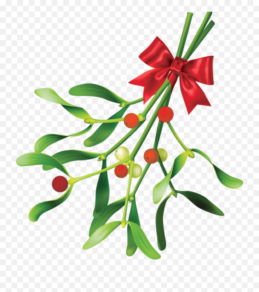 Holly Mistletoe Christmas Sticker By Natalie Wilson - Fresh Emoji,Gif Emojis Under A Mistletoe