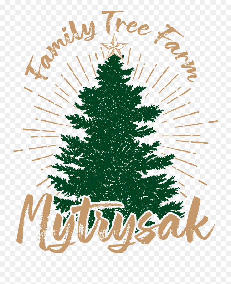 Mytrysak Family Tree Farm Cut - Yourown Tree Indiana Pa Family Owned Christmas Tree Farms Emoji,Christmas Tree Emoji