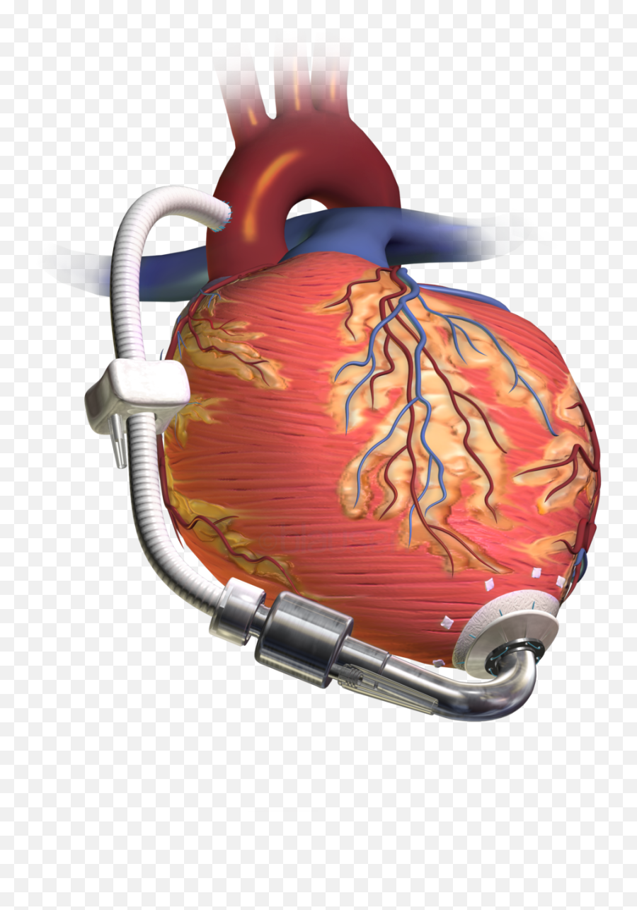 We Regenerate Our Hearts - Lvad Pump Emoji,Ancient Egypt Emotion Heart