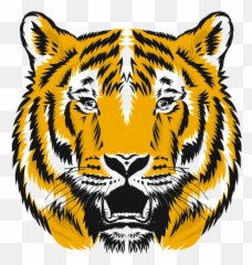 Free Photo Zoo Fur Tiger Animal Nature Bengal Cat Animals - Tiger Emoji,Levels Of Emotion In Zoo Animals