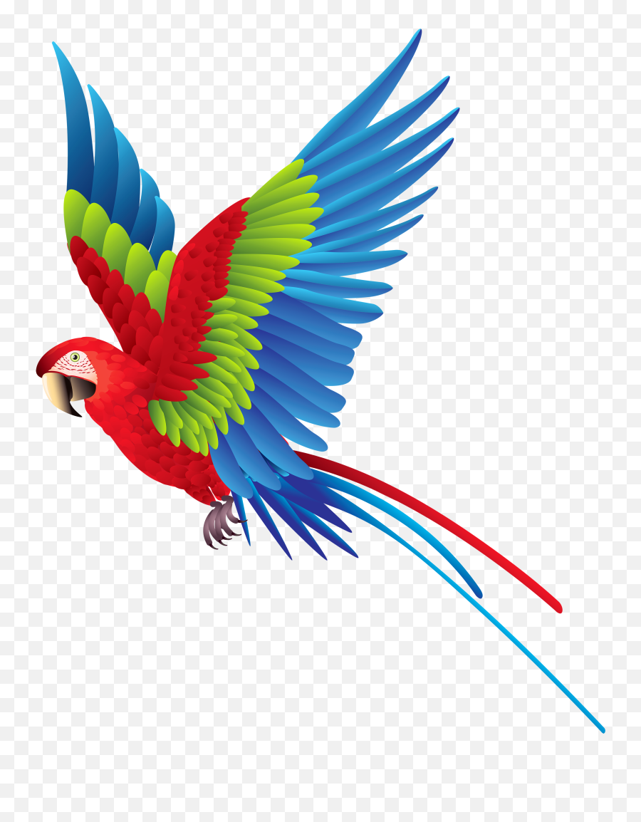 Clipart Birds Summer Clipart Birds - Transparent Background Parrot Clipart Emoji,Flying Bird Emoji
