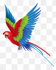 Clipart Birds Summer Clipart Birds - Transparent Background Parrot Clipart Emoji,Flying Bird Emoji
