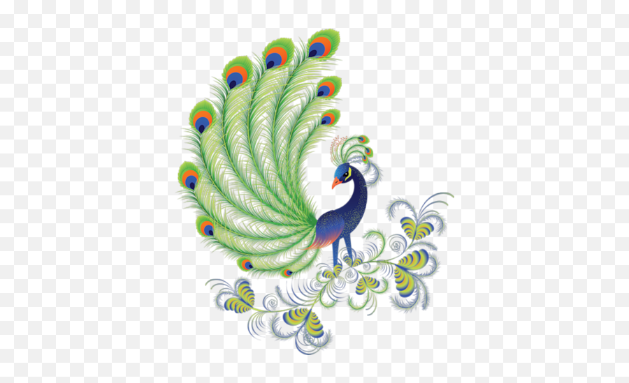 Naghi Atilas Comments - Home Wall Stickers Peacock Emoji,Irto Meleg Emoticon