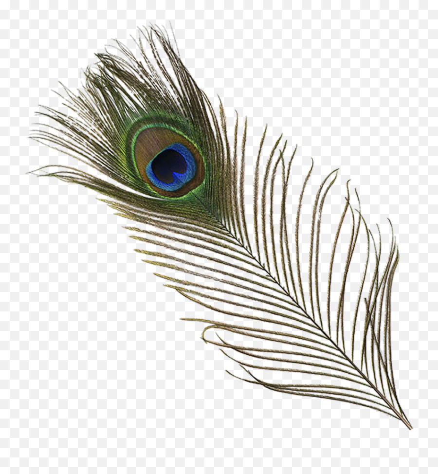 Origftesticker Peacock Feather Sticker - Peacock Feather Emoji,Peacock Feather Ascii Emoticon