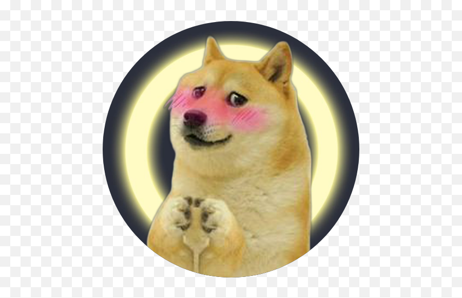 In Preparation Of The Next Season Of Chaos Mod I Present To Emoji,How To Tell Shiba Inu Emotion