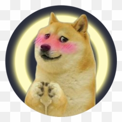 In Preparation Of The Next Season Of Chaos Mod I Present To Emoji,How To Tell Shiba Inu Emotion