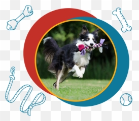 How Does It Work - Whistler Emoji,Dog Emoticon Test