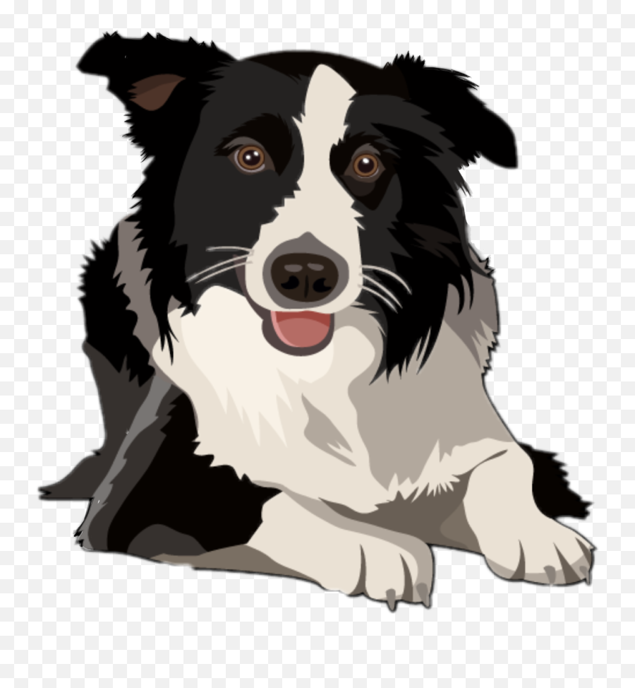 Dog Bordercollie Border Collie Freetoedit - Border Collie Border Collie Clipart Emoji,Emoji Border Clipart
