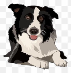 Dog Bordercollie Border Collie Freetoedit - Border Collie Border Collie Clipart Emoji,Emoji Border Clipart
