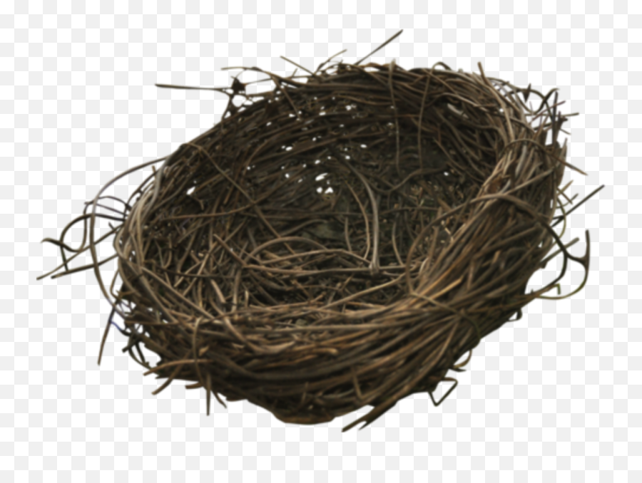 Bird Nest Sticker - Twig Emoji,Nest Emoji