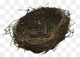 Bird Nest Sticker - Twig Emoji,Nest Emoji