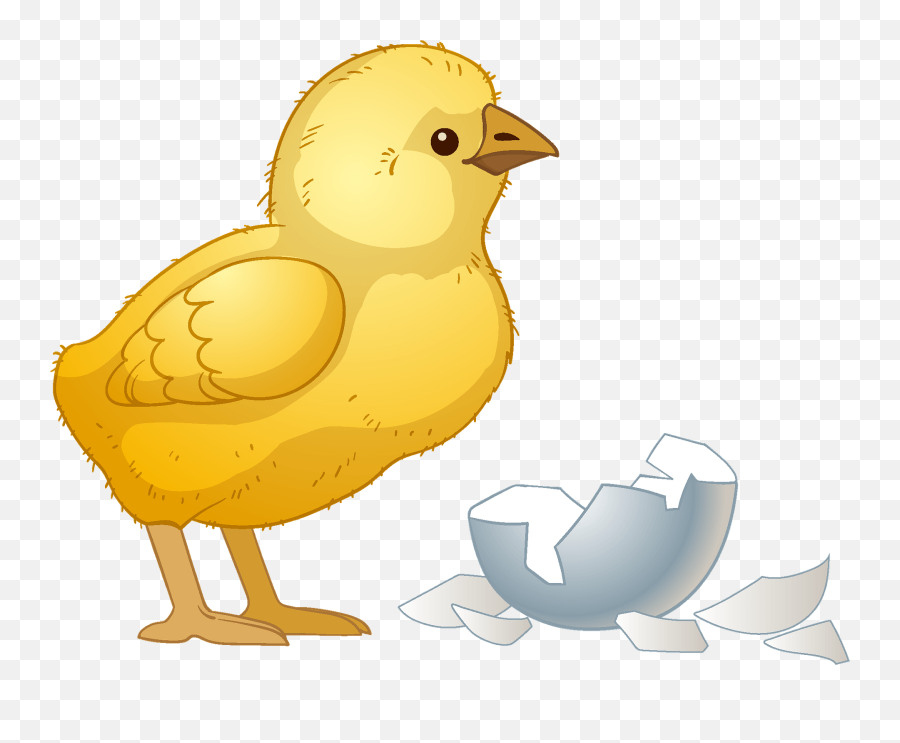 Chick Clipart Free Download Transparent Png Creazilla - Animal Figure Emoji,Emoji Party Chick