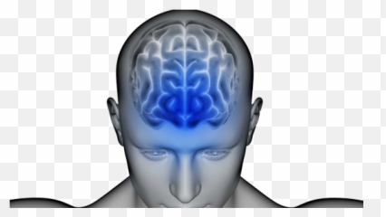Brain Health Assessment And Plan - For Adult Emoji,Emotions In Brain Scans