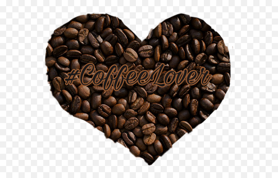 Free - Wayanad Robusta Coffee Gi Tag Emoji,Coffee Bean Emoji