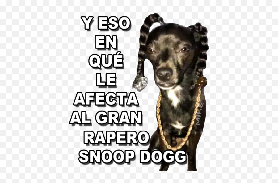 Y Eso En Que Le Afecta Memesm Stickers Para Whatsapp - Snoop Dogg Meme Emoji,La Chilindrina Emojis