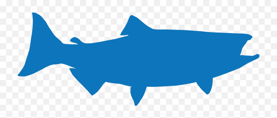 Bodega Bay Fishing Charters Bay Area North Bay Charters - Fish Emoji,Fishing Emotion Charger