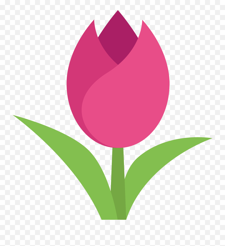 Tulip - Gül Çiçek Emoji Anlamlar,Emoji For Vagina