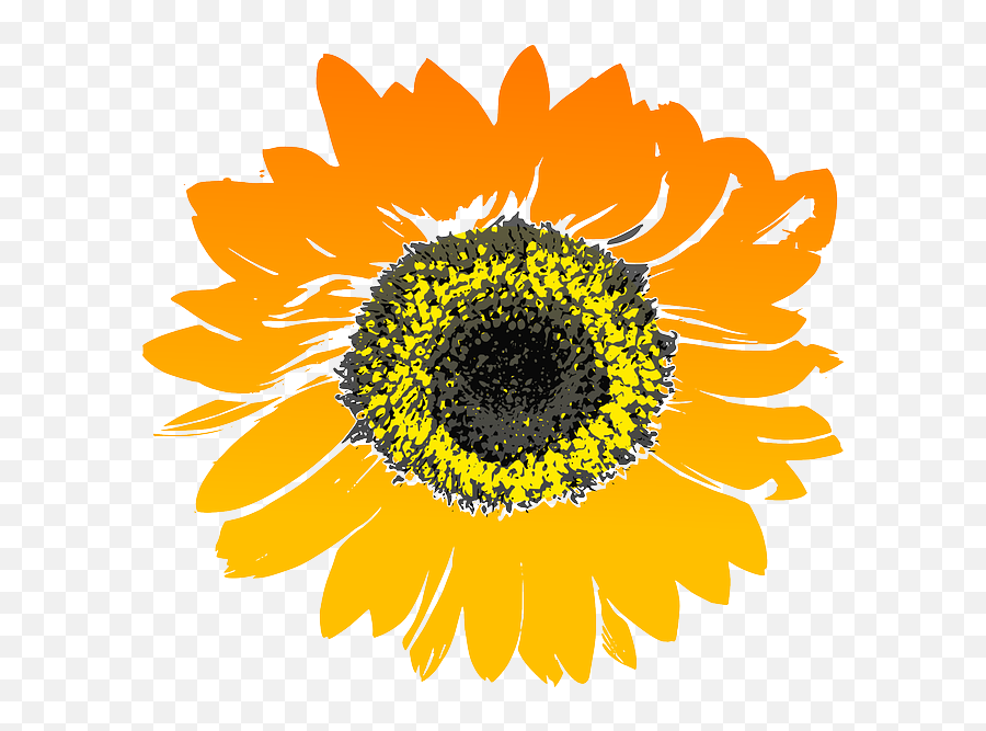 Part 2 Aromas From The Terroir - Transparent Background Sunflower Drawing No Background Emoji,Free Cut And Paste Emoticon For 