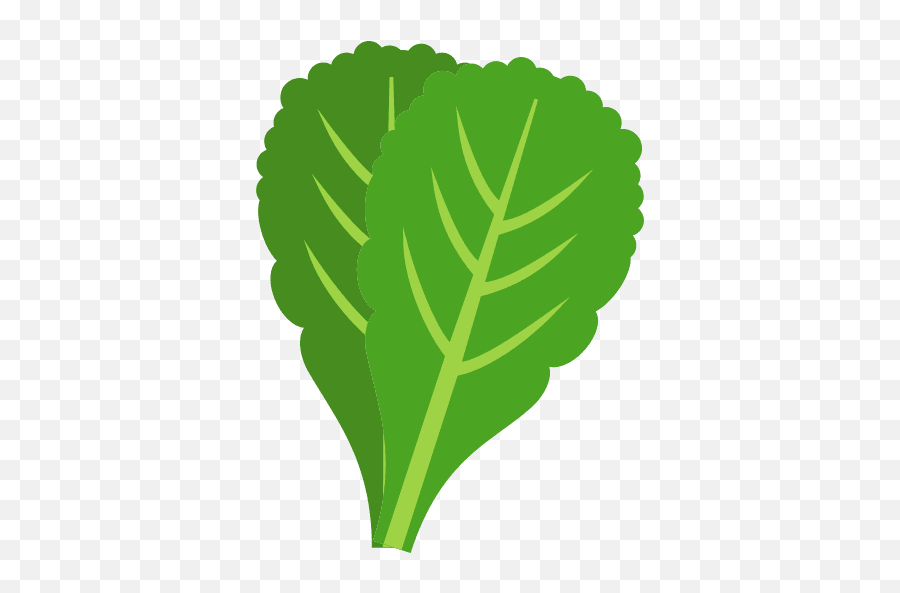 Spinach Icon Png And Svg Vector Free Download Emoji,Leafy Greens Emoji