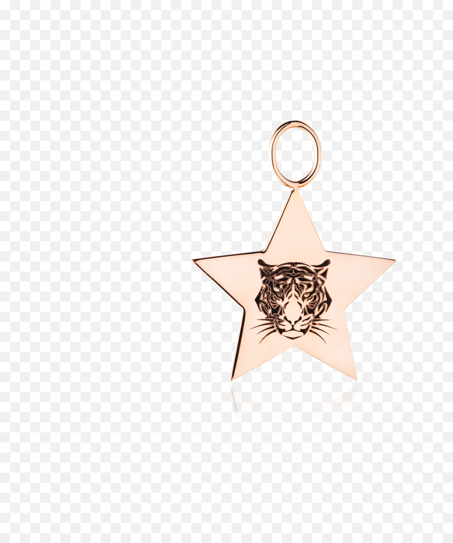 Anna Inspiring Jewellery Emoji,Meaning Of Star Ring Emoji
