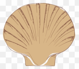 Shell Bowl Affordable Organic 100 Handmade Fair Produced Emoji,Sea Shell Emoji