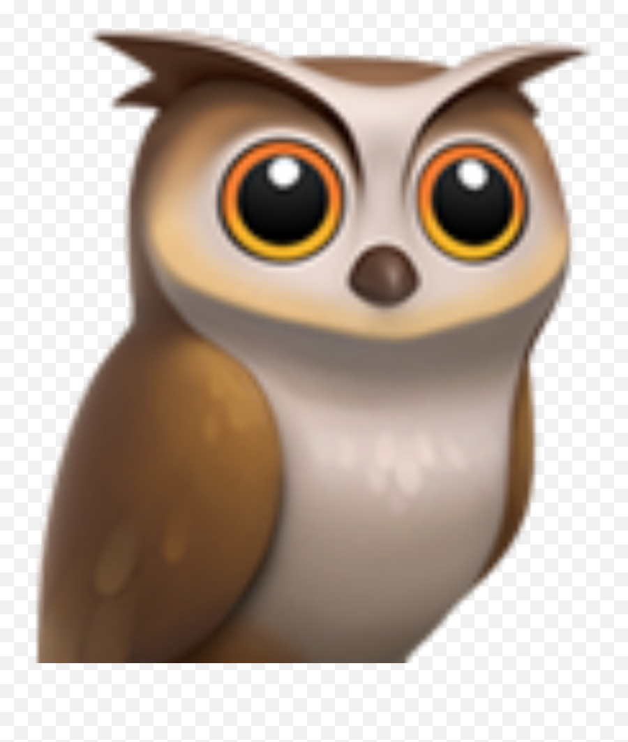 Can I Jailbreak Emoji,Owl Emojii