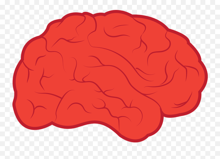 Mind Brain Psychology Neurology - Neurology Emoji,Emotions And The Brain Psychology