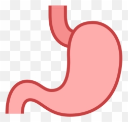 Bahrain Icon - Stomach Icon Emoji,Bahrain Flag Emoji