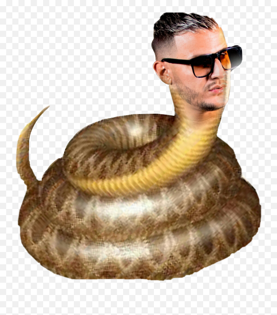 Djsnake Sticker - Serpent Emoji,Dj Snake Emoji