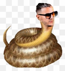 Djsnake Sticker - Serpent Emoji,Dj Snake Emoji
