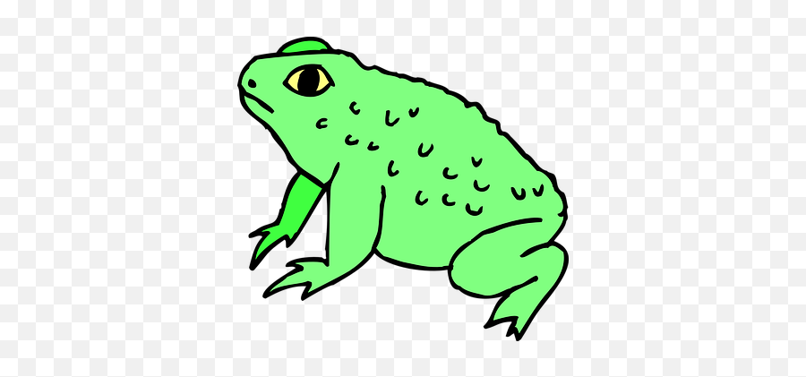 90 Free Toad U0026 Frog Illustrations - Pixabay Toad Clipart Emoji,Frog Emoji Hat
