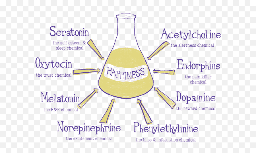 Pin - Serotonin Dopamin Oksitosin Endorfin Emoji,Brain And Emotions