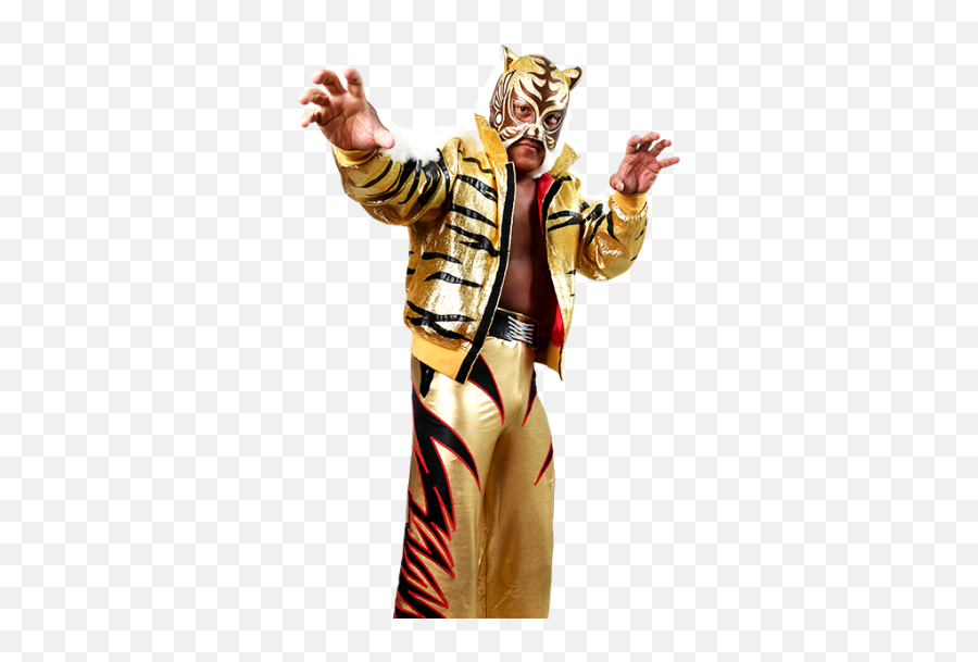 Inside Wrestle Kingdom 14 Jyushin Thunder Liger Retirement - Tiger Mask Njpw Emoji,Emotion Cover Costume Carly