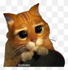Shrek Sticker Pack - Puss In Boots Shrek Png Emoji,Imagen De Emotion Enojado