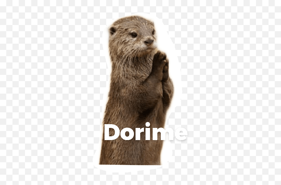 Nutrias - North American River Otter Emoji,Weasel Emoji