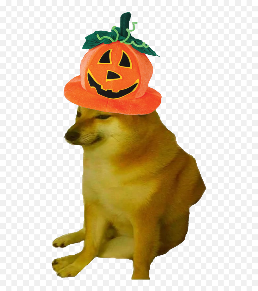 Le Halloween Festive Cheems Has Arrived Rdogelore Emoji,Emoticon Dog Bone For Facebook