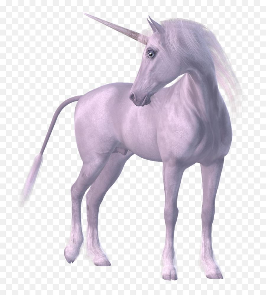 Free Transparent Horse Png Download - Horse With Horn Png Emoji,Horse Horn Emoji