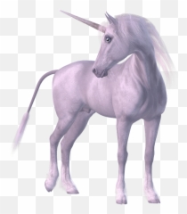 Free Transparent Horse Png Download - Horse With Horn Png Emoji,Horse Horn Emoji