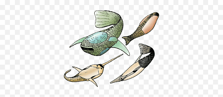 Show Us Your Ostracoderms And Placoderms - Member Emoji,Proboards Phone Emojis