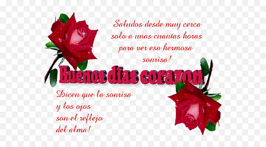 Good Morning Wishes In Spanish Pictures Images - Page 8 Spanish Good Morning Flowers Emoji,Gif Of Emoticon Wit Hflowers