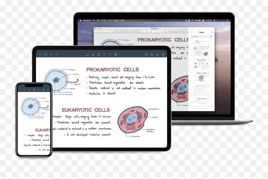 Welcome To Noteshelf - Technology Applications Emoji,Como Colocar Emoticons No Notebook