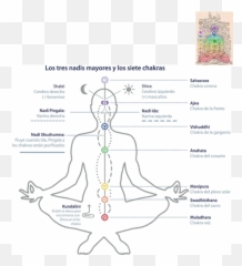 Nueva Antropología - Stretches Emoji,Testicle Trapped Emotion