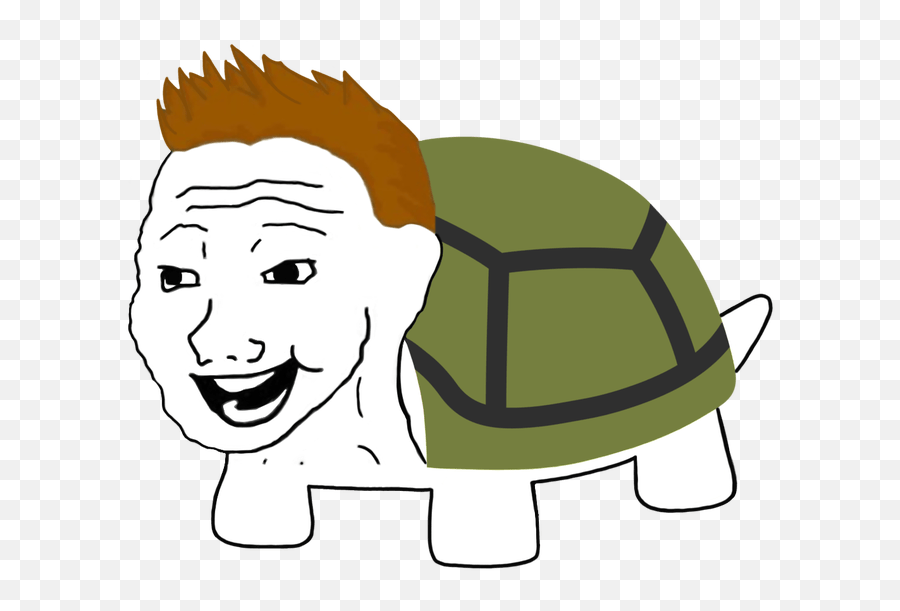 The Teacup Files - Turtle Png Emoji,Mine Turtle Text Emoticon
