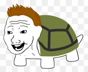 The Teacup Files - Turtle Png Emoji,Mine Turtle Text Emoticon