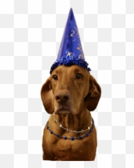 The Most Edited - Birthday Emoji,Vizsla Emoji