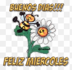 160 Ideas De Usar Diario - Sunny Good Morning Emoji,Como Decir Adios No Te Volvere A Enviar Mensajes Con Un Emoticon Whatsapp