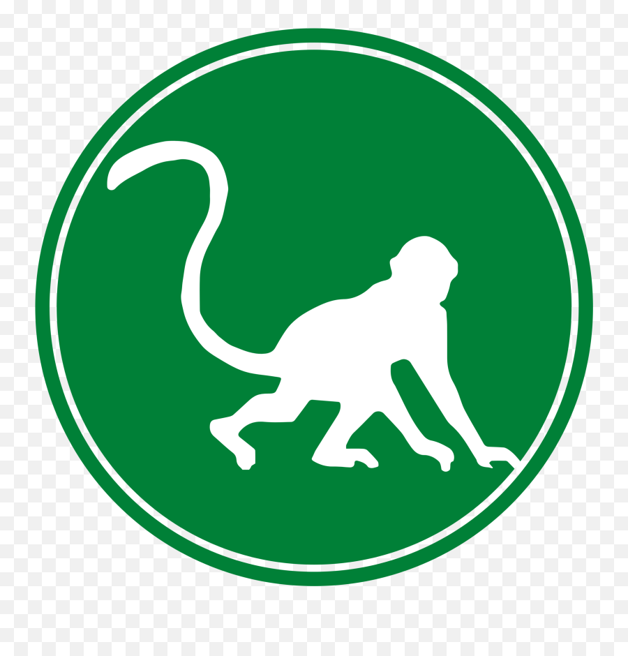 Private Tours At Iguassu Falls - Old World Monkeys Emoji,Emotions Of A White-faced Capuchin Monkey