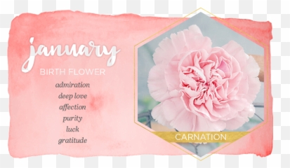 Birth Flowers Emoji,Emotion Language Of Flowers