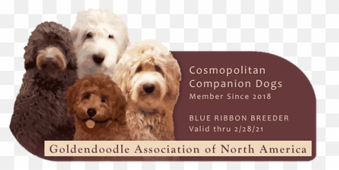 What Are Puppy Culture And Avidog Cosmopolitan Companion Dogs Emoji,Videos Of Dogs Emotions